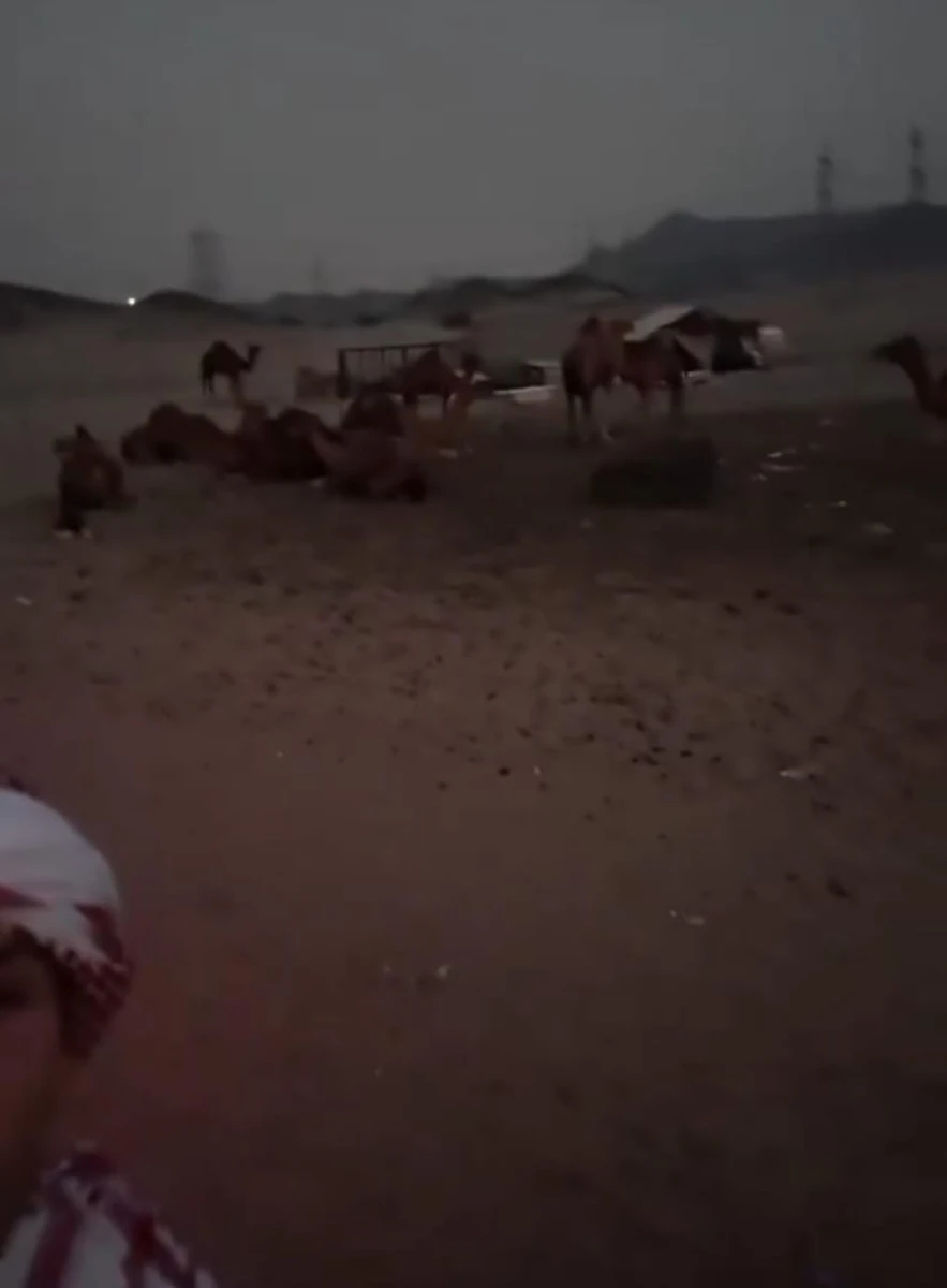 a02f235d-da03-4440-8822-be243b90726d.jpg a02f235d-da03-4440-8822-be243b90726d.jpg