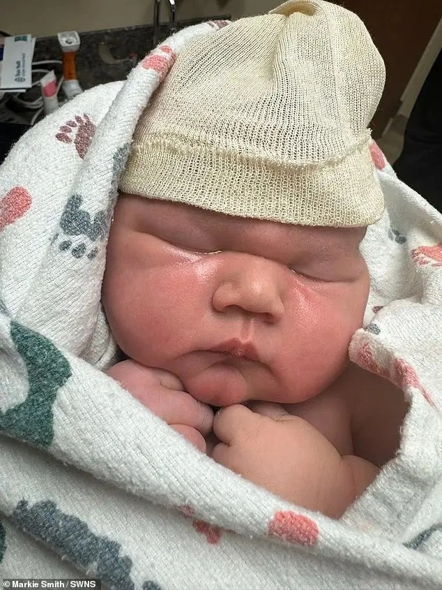 ac13fcb8-3abf-43da-ad8a-c0c757a928f9.jpg ac13fcb8-3abf-43da-ad8a-c0c757a928f9.jpg