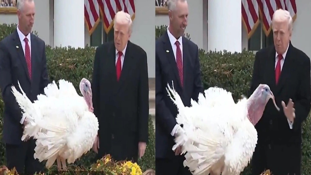 b3134ae4-65f9-4051-ad6d-17ff7d16d260.jpg b3134ae4-65f9-4051-ad6d-17ff7d16d260.jpg