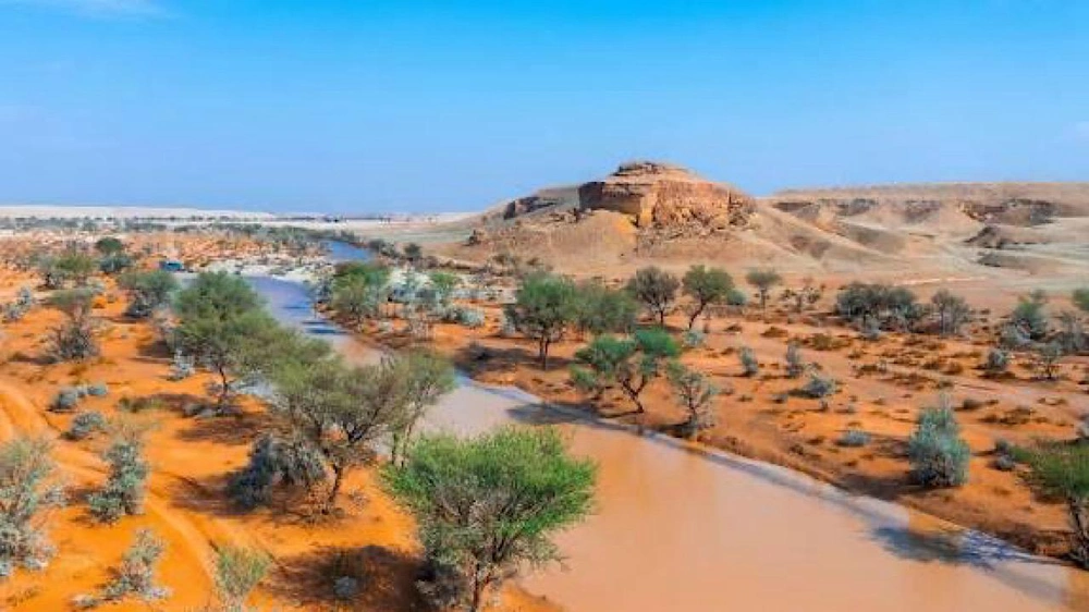 b81381ce-dc90-4756-86d4-c557c630a122.jpg b81381ce-dc90-4756-86d4-c557c630a122.jpg