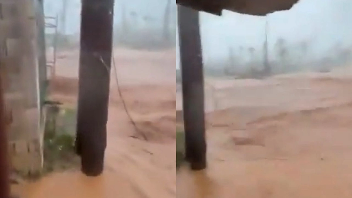 c377d6cb-5182-4c45-a5bc-4c672aa24932.jpg c377d6cb-5182-4c45-a5bc-4c672aa24932.jpg