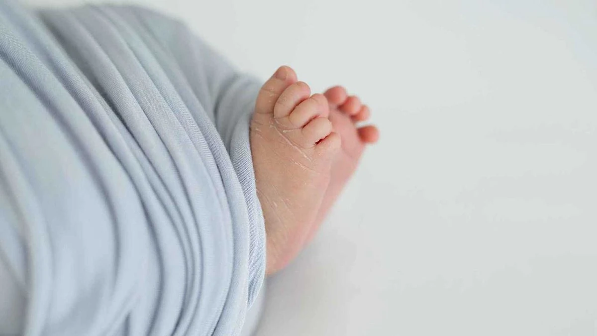 cdd12c21-986a-4f22-92d0-572d8deaf80b.jpg cdd12c21-986a-4f22-92d0-572d8deaf80b.jpg