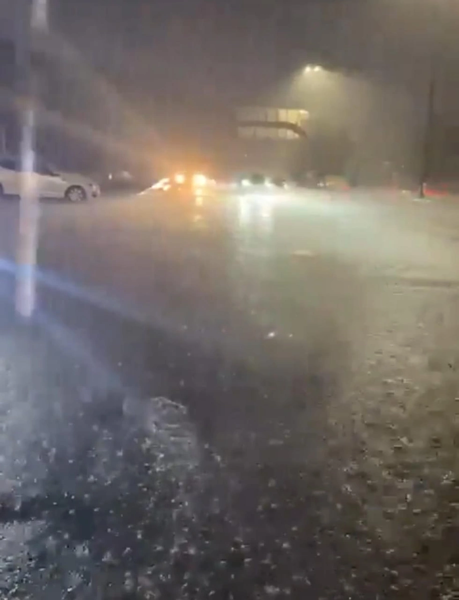 d1868fab-49b3-4cb8-ba62-59cd126c79e9.jpg d1868fab-49b3-4cb8-ba62-59cd126c79e9.jpg