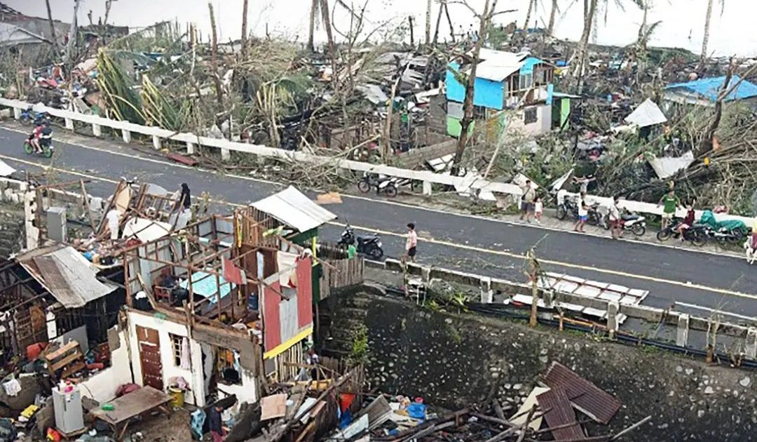 d24714ff-f75e-48a0-b467-a17b3c462425.jpg d24714ff-f75e-48a0-b467-a17b3c462425.jpg