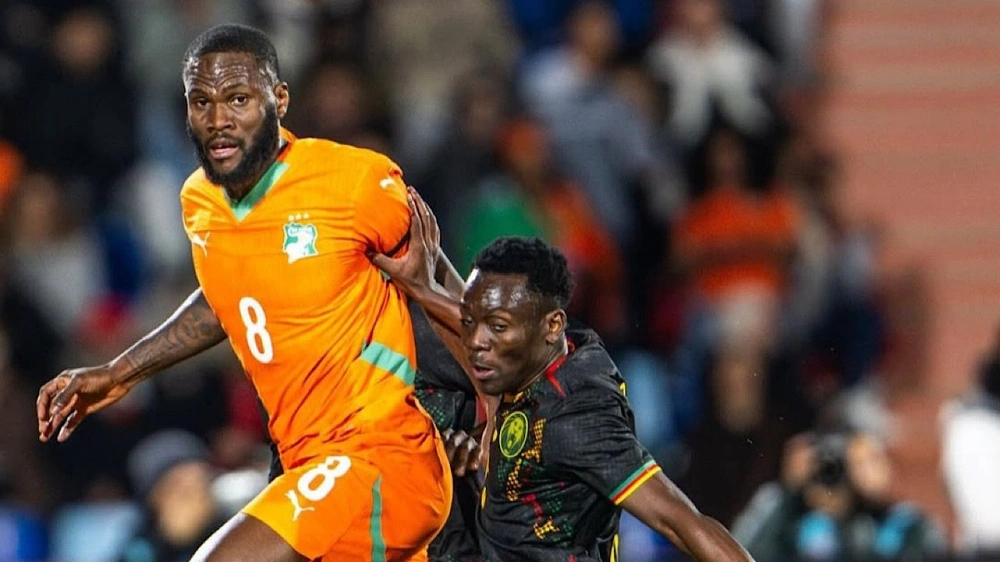 d54a245e-5e2a-4032-ae22-18bfebbd6d6c.jpg d54a245e-5e2a-4032-ae22-18bfebbd6d6c.jpg