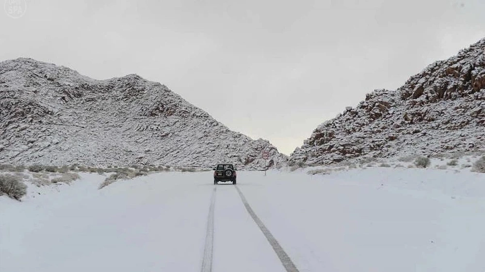 d6305684-74ed-4e17-adb1-00c87e0bbccf.jpg d6305684-74ed-4e17-adb1-00c87e0bbccf.jpg