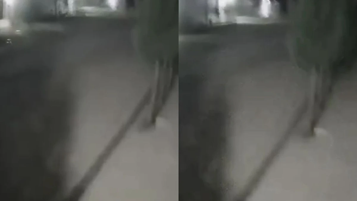 d717dafb-1e92-4d90-8ca6-5a2c7b93b899.jpg d717dafb-1e92-4d90-8ca6-5a2c7b93b899.jpg