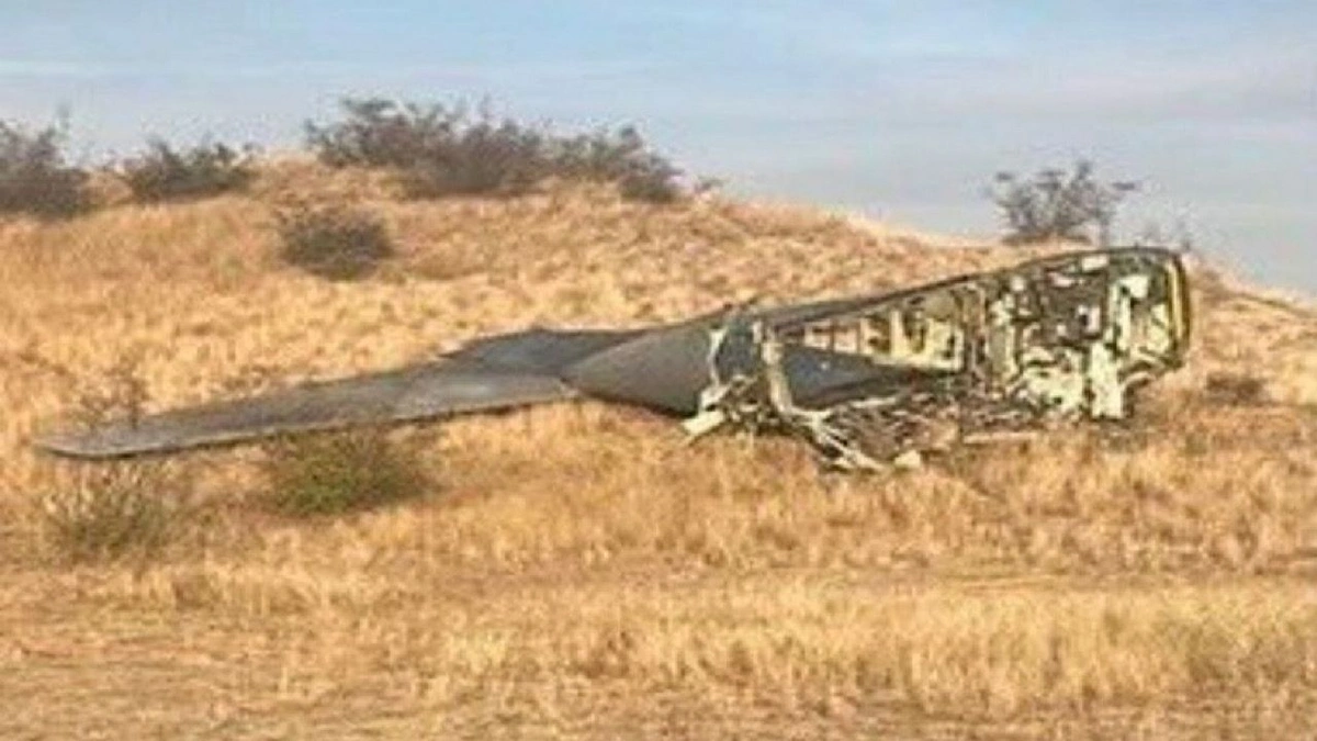 d74f315e-96c6-4464-acbd-d2116b4eaf63.jpg d74f315e-96c6-4464-acbd-d2116b4eaf63.jpg