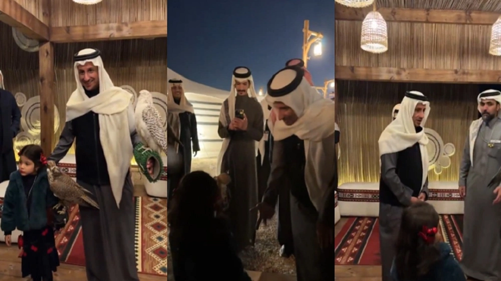 dd021997-8d12-4203-9c15-5164eb22978a.jpg dd021997-8d12-4203-9c15-5164eb22978a.jpg