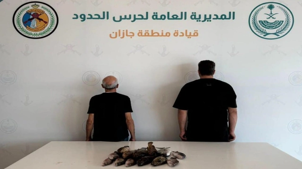 de0fa0c1-d70d-4110-9513-3d90d093a8f3.jpg de0fa0c1-d70d-4110-9513-3d90d093a8f3.jpg