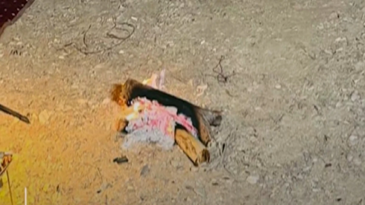 e8ad2317-5960-47a0-acd0-f1a4728184b9.jpg e8ad2317-5960-47a0-acd0-f1a4728184b9.jpg