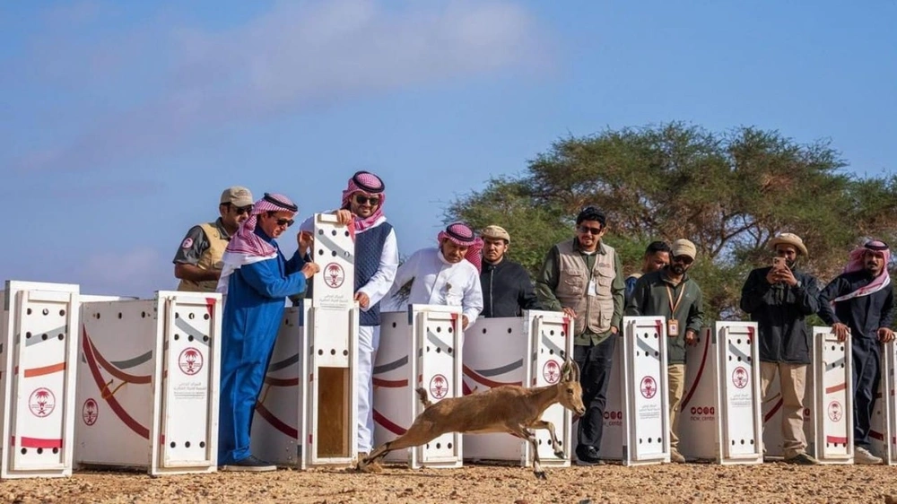 f9d8db60-52e0-48ed-9e75-d0c29f6a83eb.jpg f9d8db60-52e0-48ed-9e75-d0c29f6a83eb.jpg