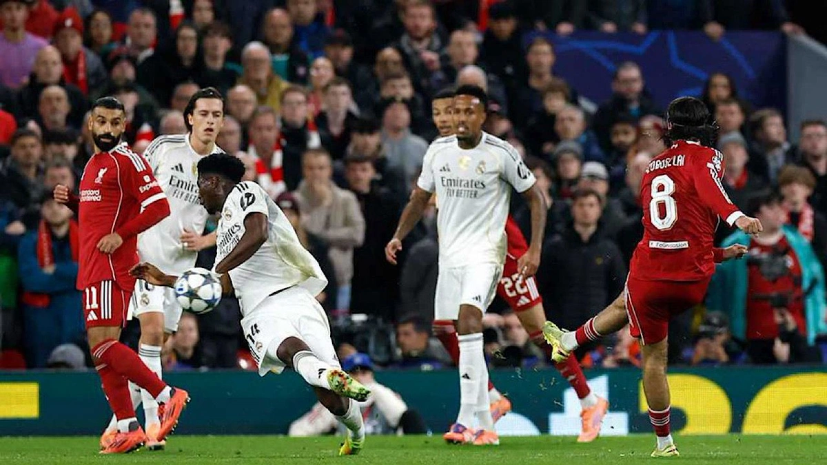 fae8e9e0-7742-4d1c-b8a7-1162de448ee2.jpg fae8e9e0-7742-4d1c-b8a7-1162de448ee2.jpg